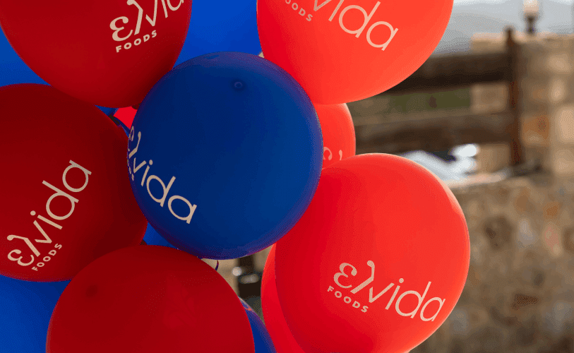 Μάϊος 2026: ελvida*land: Μια ημέρα αφιερωμένη στους ανθρώπους μας και τις οικογένειές τους!
